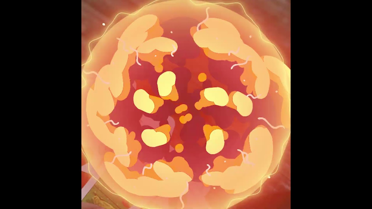 Schnopns Online 1_1 nodr 