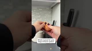 Is oranges 🍊 good for dogs?? 🐶