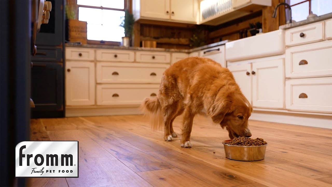 Fromm Family Dog Food (Gold)