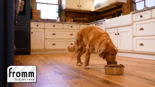 Fromm Family Dog Food (Gold)