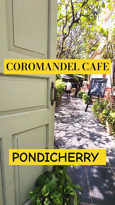 BEST Cafe in Pondicherry? Coromandel Cafe’s Coffee & Vibes!