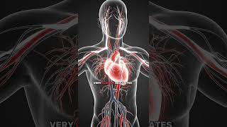 Iron Deficiency Is About More Than Just Hemoglobin