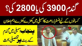 Wheat Price In Pakistan 2024 | Wheat Price Latest Update | New Rate List| Debate In Punjab Assembly