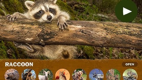 FunLab iPad Apps Created with InDesign, in5 (InDesign to HTML5), and the Baker Framework