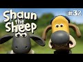 Operation Pidsley Shaun The Sheep Season 2 Full Episode الخروف شون ذا شيب عملية بيدسلي 