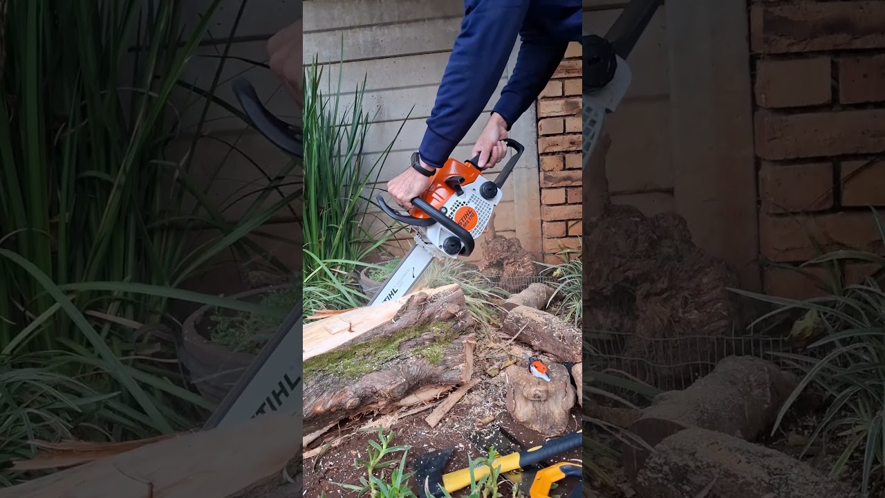 Stihl ms170 chainsaw cutting hard wood 💪 . 