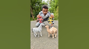 Ekta RC Zebra and Remote wala Camel Unboxing 😊