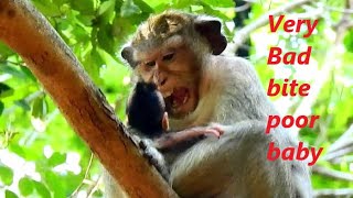 Very Bad Action Monkey CASI Seriously Bite Poor Baby CALVIN | Calvin Cry Break Sound |Sounds Monkey