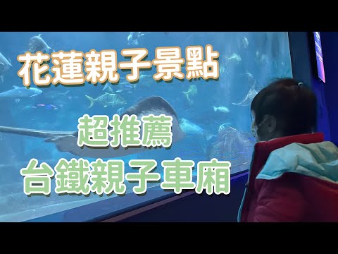 【親子行程】台鐵親子車廂超推～花蓮親子景點每個都可以玩整天！｜  創業系媽媽育兒日記#193 - 讓我們陪伴孩子一同成長 - 嬰兒 寶寶