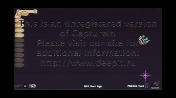 Toss The Turtle!!! High Score!!