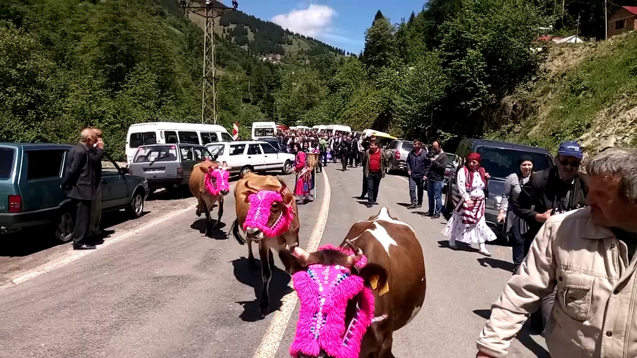 Şalpazarı, Ağasar Yayla göçü