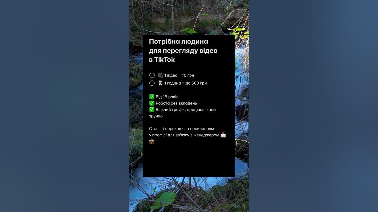 усик аматорська карєра