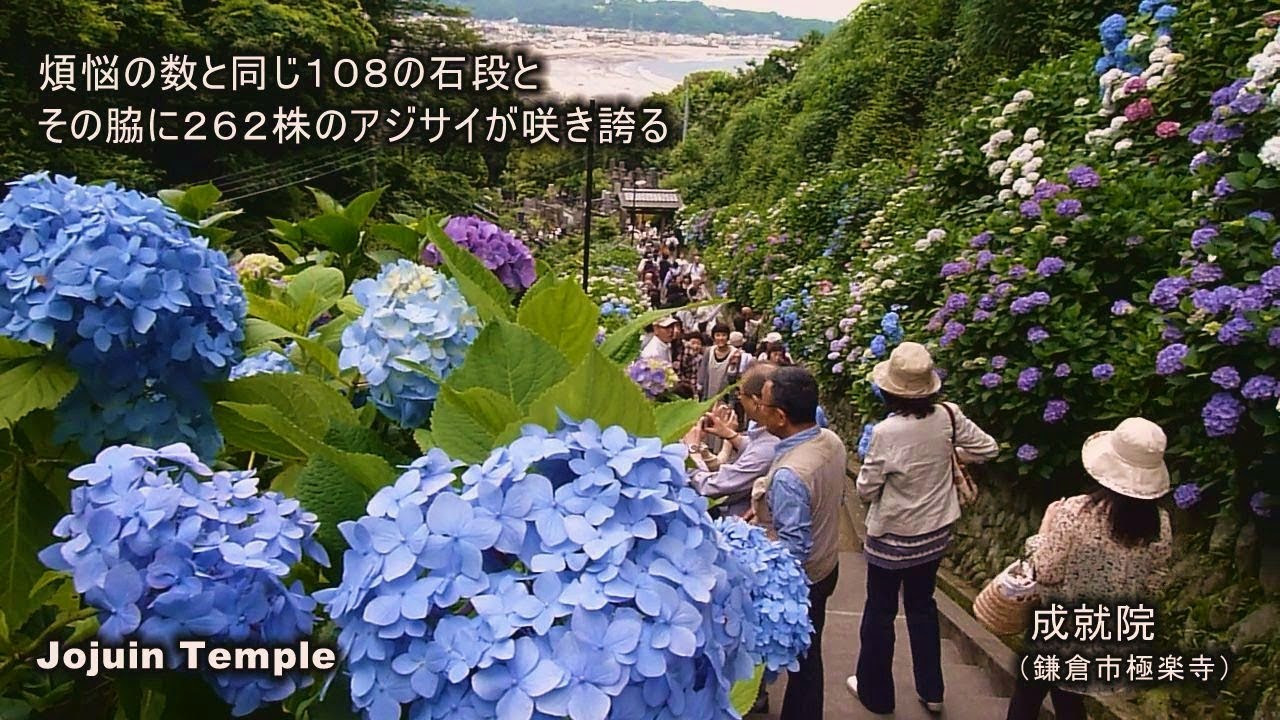hq720.jpg?sqp=-