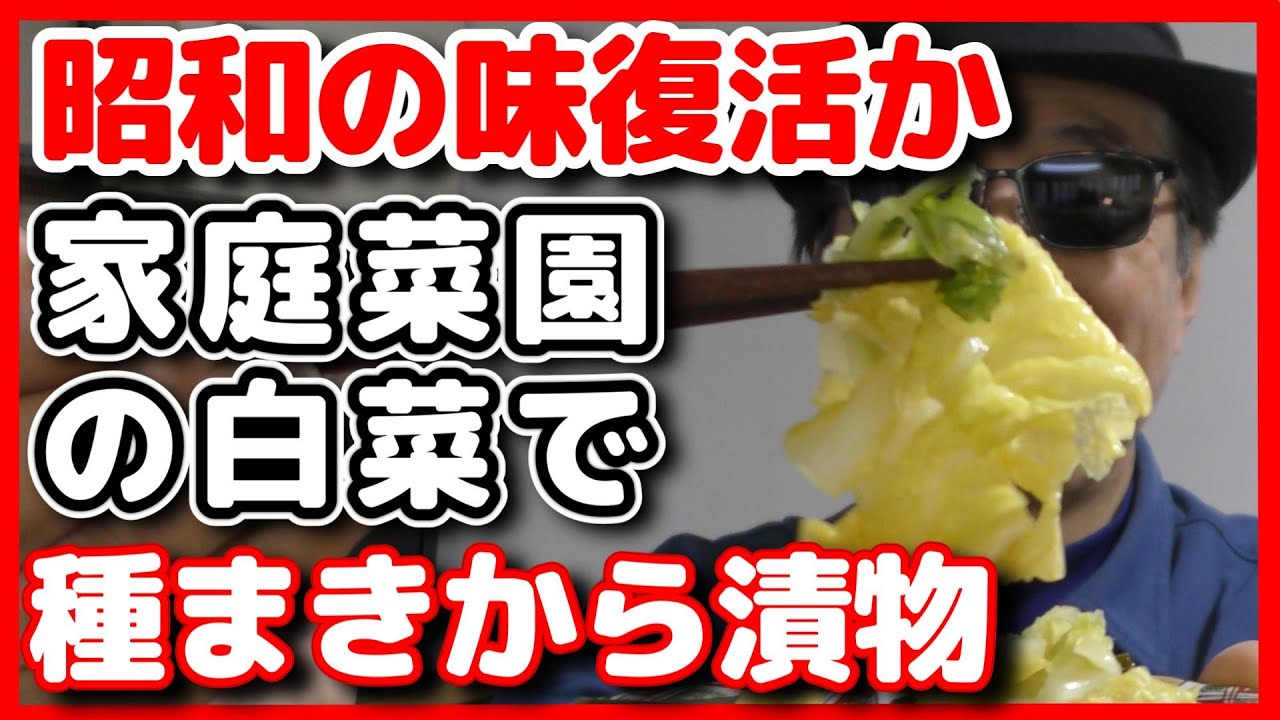 家庭菜園で作ったハクサイと昭和の漬物容器で作る昭和の味再現してみた