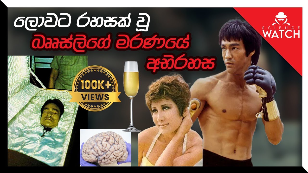 Bruce Lee | ලොවට රහසක් වූ බෘස් ලී ගේ මරණයේ අභිරහස