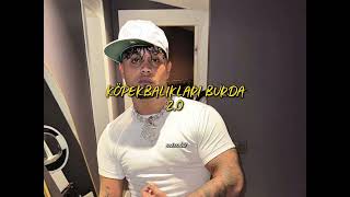 Meduza & Köpek Balıkları Burda|| Köpek Balıkları Burda 2.0 Mixed By Me (Tiktok: Mixohitt.94)