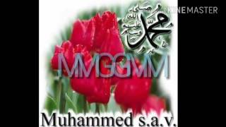 Sevgili Peygamberim (MGM)