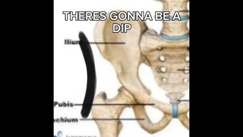 hip dips are pretty ngl