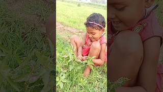 Small Plant Mini Vlog!🌲#shorts #vlog #viral