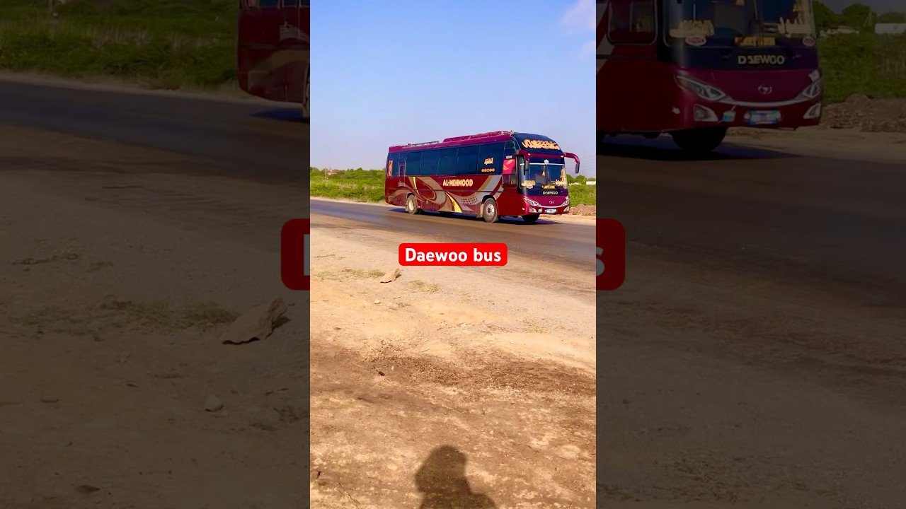 Beautiful Daewoo Bus 