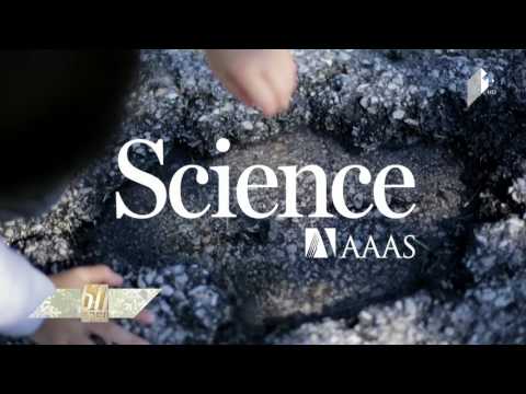 სამყარო და მეცნიერება - პასუხები მნიშვნელოვან კითხვებზე