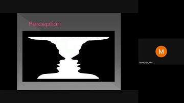 Organisational Behaviour - Chapter 4 Personality and Perception