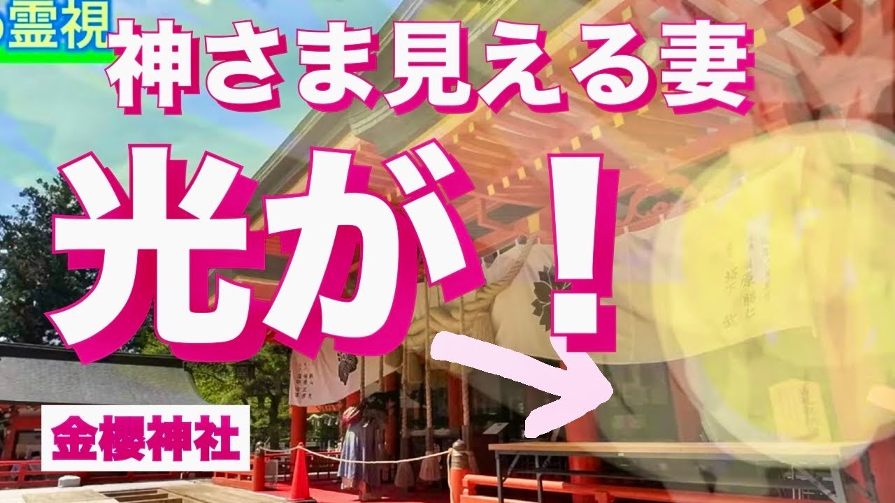 必見！御神光が降ってくる奇跡の映像と金櫻の御利益を受けりましょう　かおりの虹　貴重映像　金櫻満開　　#Spirit   #medium