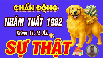 Sự Thật tử vi tháng 11 và Tháng 12 âm lịch 2025 Tuổi NHÂM TUẤT 1982 BÃO LỘC TRÀN VỀ GIÀU HƠN TỶ PHÚ