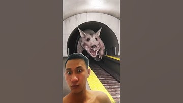 Con chuột khổng lồ #horrorstories #shorts