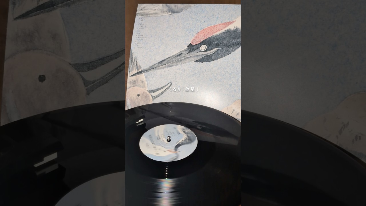 本日「儚くも美しき12の変奏」アナログ盤リリース✨レコード盤に針を
