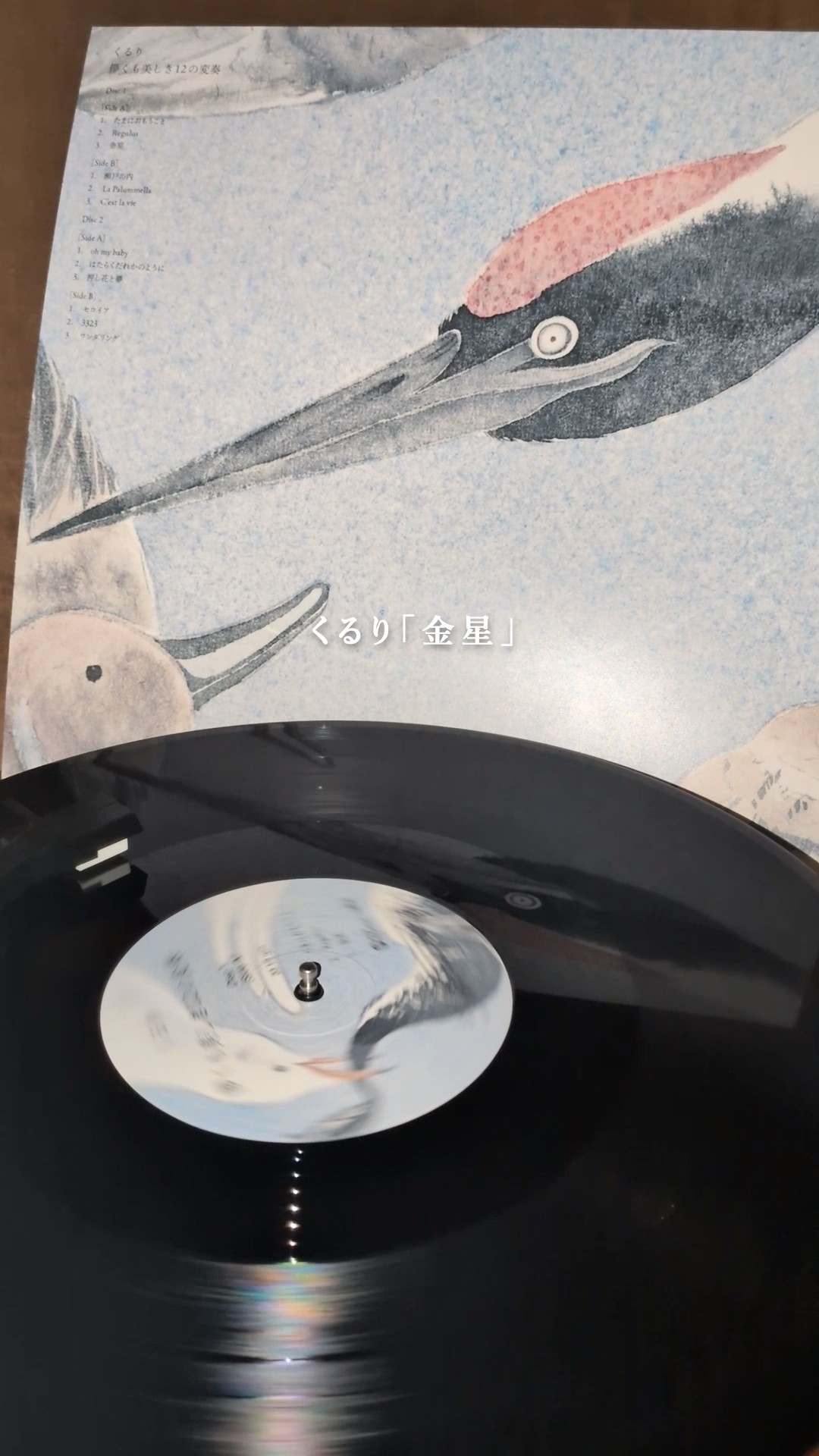 本日「儚くも美しき12の変奏」アナログ盤リリース✨レコード盤に針を