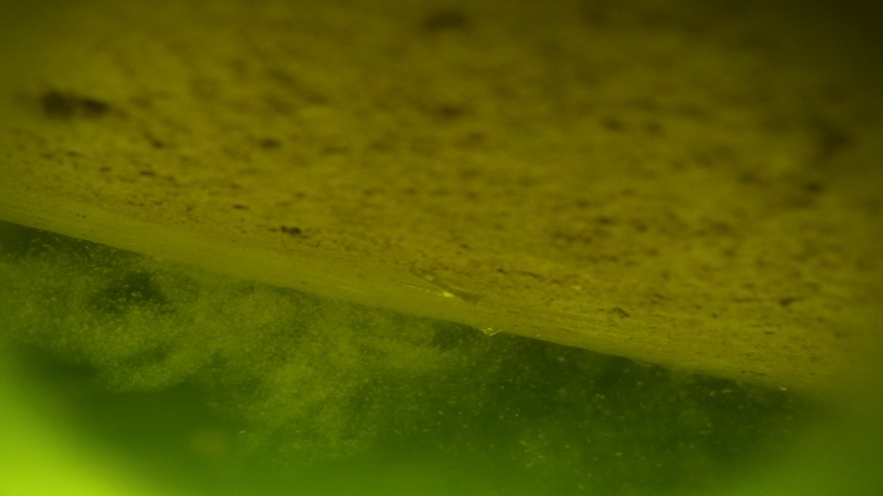 Dropped my camera down the ice fishing hole