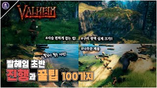 발헤임 초반 꿀팁 100가지!!! - 목초지부터 검은숲까지! [Valheim WIKI]