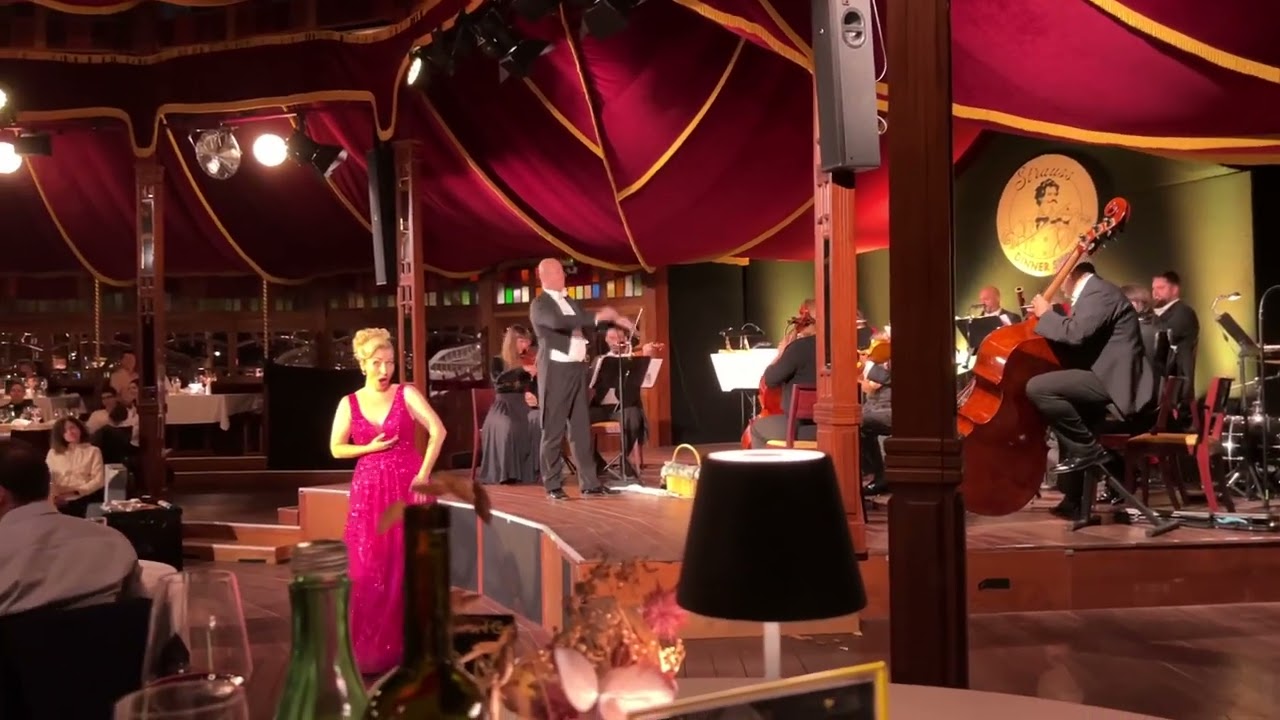 Strauss Dinner Show. Wien