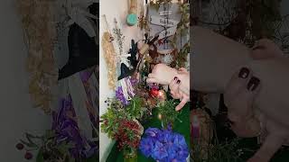 VERBENA LA PLANTA QUE HACE ENLOQUECER DE AMOR A LOS HOMBRES ❤️‍🔥Y TE LIBRA DE TODO MAL 👿