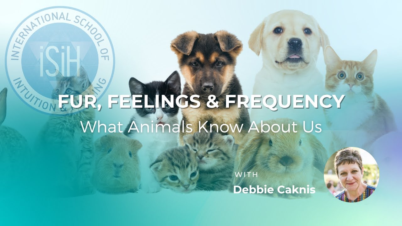 Fur, Feelings and Frequency - What Animals Know About Us