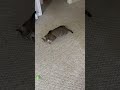 Sophie being silly