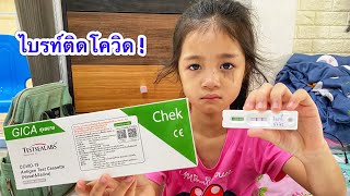 บรงคไบรท นองไบรทเปนโควด 