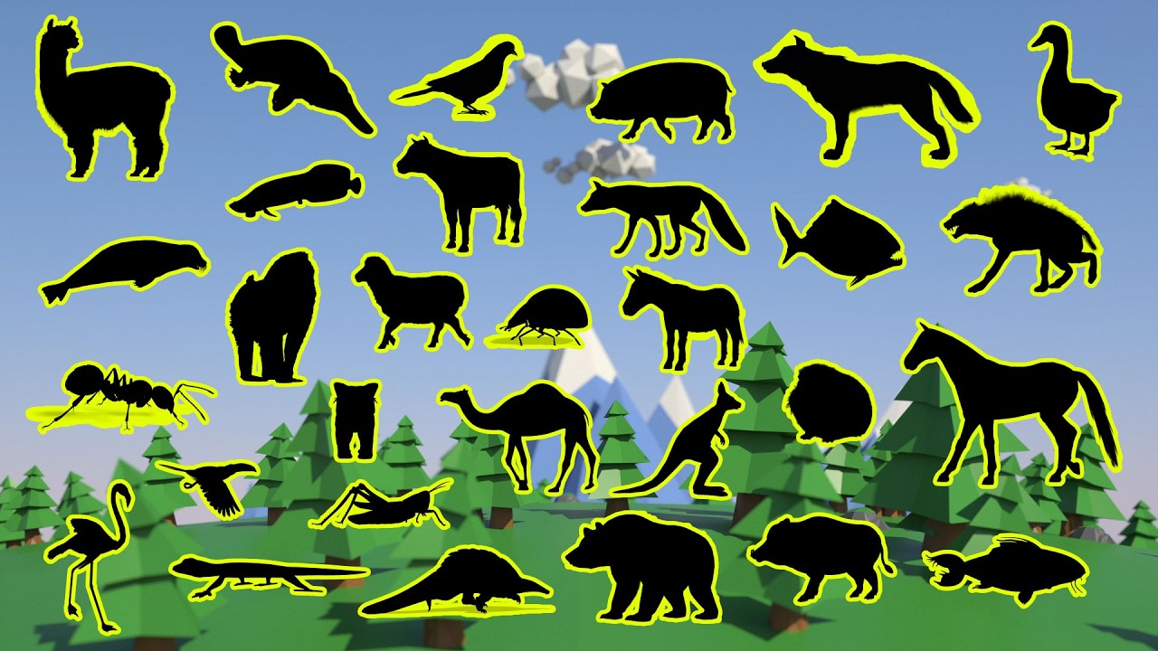 QUAL É A SOMBRA? 🤔 Teste seus conhecimentos sobre os Animais!