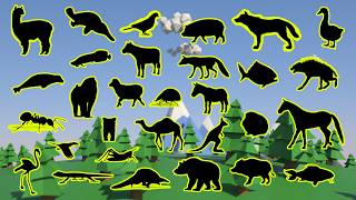 What is the shadow? 🤔 Test your knowledge about animals! screenshot 1