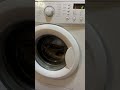 Washing machine spinning end #washing #machine #spinning #shorts #asmr #satisfying #sound
