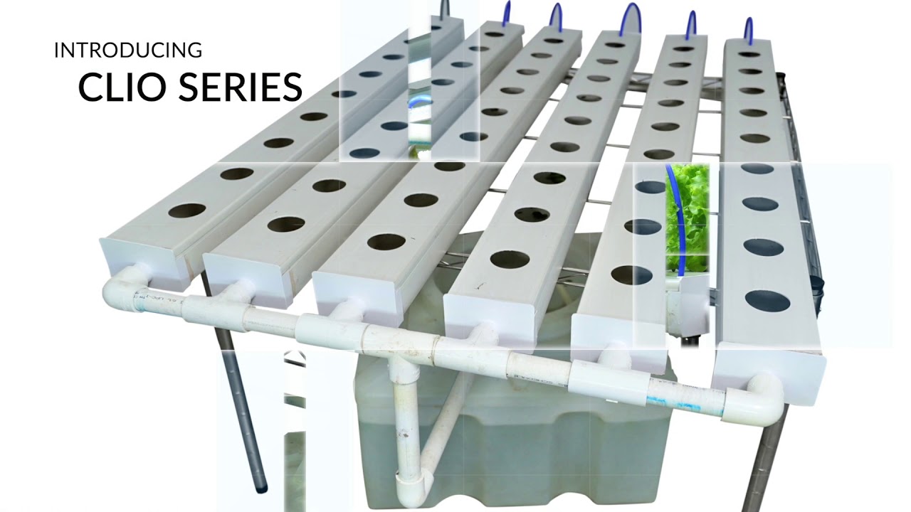 Home Grown. Own Grown. Now Grow Fresh Veggies At Home All Year Round