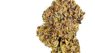 Rocky Road | Strain Review