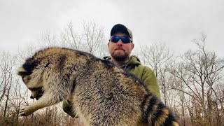 Bait is Not Always King