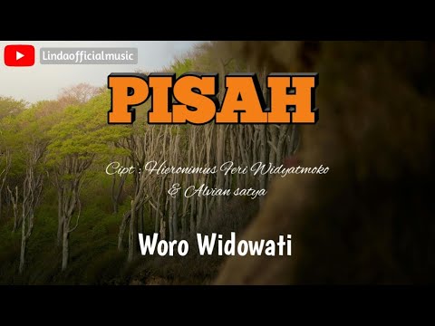 Woro Widowati - Akhire Pisahan (Official Music Video)