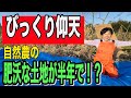 草を刈らずに、良い畑を作ります。納豆水や米ぬかを使います