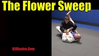 The Classic Flower Sweep