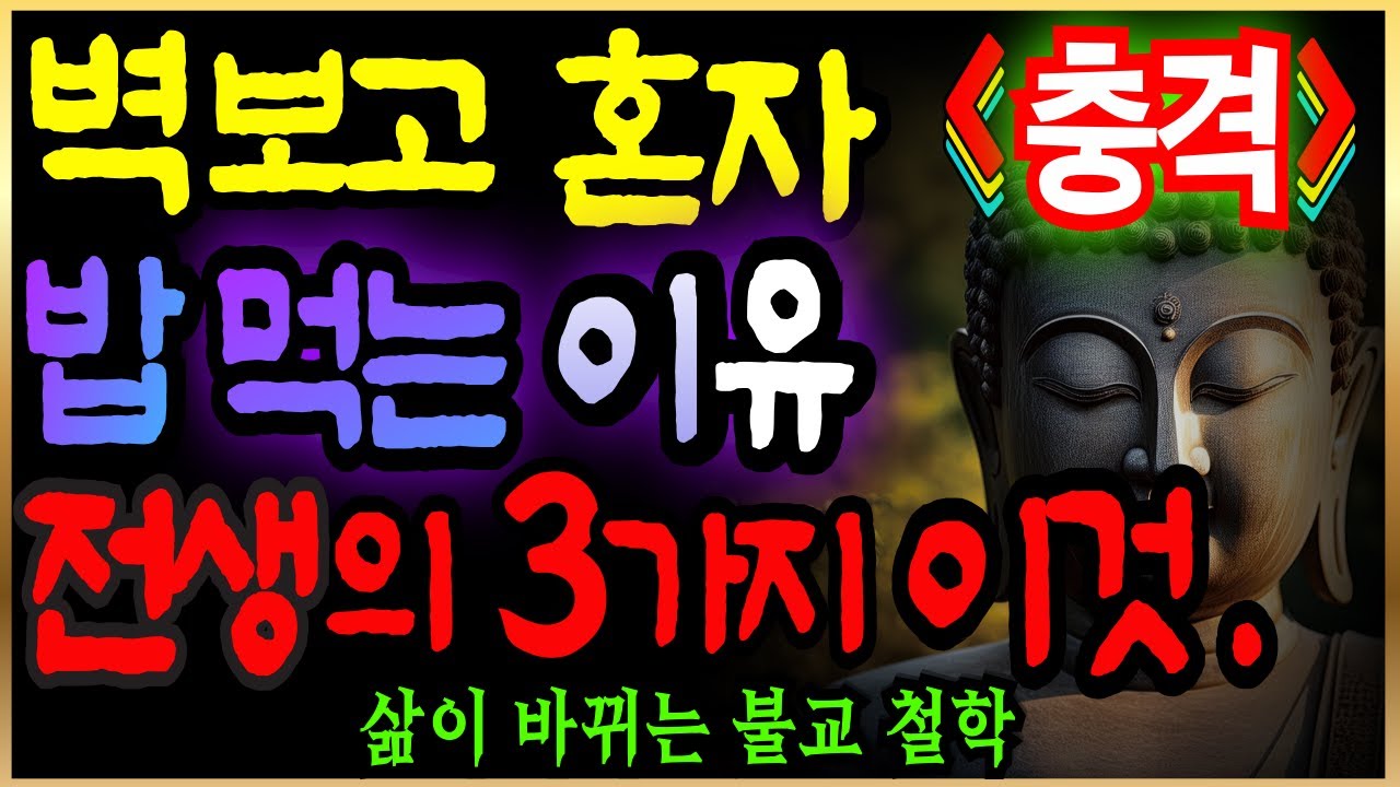 혼자사는 고독인 전생의 이런 업 있다ㅣ 인생조언 | 삶의지혜 | 불교명언 | 인간관계ㅣ오디오북ㅣ