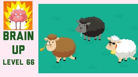 Brain Up Level 66 Walkthrough