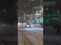 Рекордный снегопад в Москве! #снег #снегопад #рекорд #осадки #москва #россия #декабрь2023